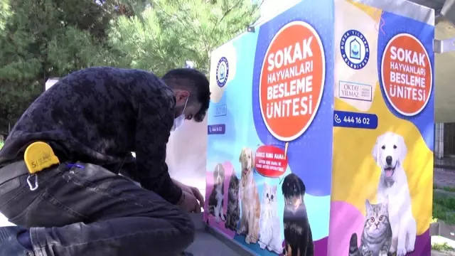 Yıldırım'da aç hayvan kalmayacak Yıldırım'da aç hayvan kalmayacak
