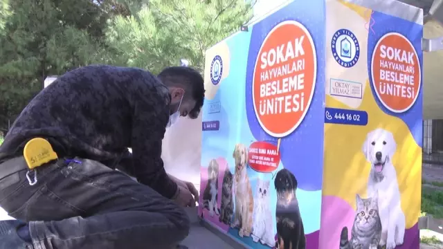 Yıldırım sokakların mamamatik ve kedi besleme odakları yerleştirdi Yıldırım sokakların mamamatik ve kedi besleme odakları yerleştirdi