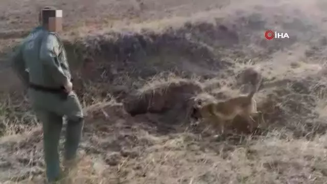 Araziye gizlenen 61 kilo eroini narkotik köpekleri buldu Araziye gizlenen 61 kilo eroini narkotik köpekleri buldu