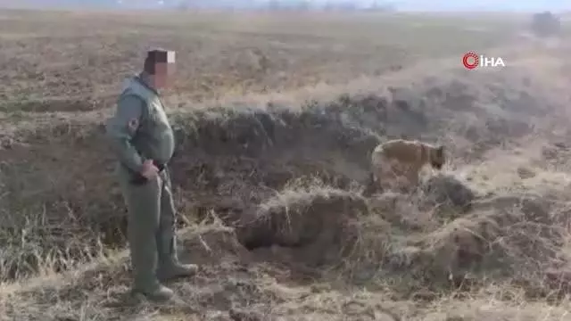 Araziye gizlenen 61 kilo eroini narkotik köpekleri buldu Araziye gizlenen 61 kilo eroini narkotik köpekleri buldu