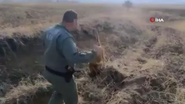 Araziye gizlenen 61 kilo eroini narkotik köpekleri buldu Araziye gizlenen 61 kilo eroini narkotik köpekleri buldu