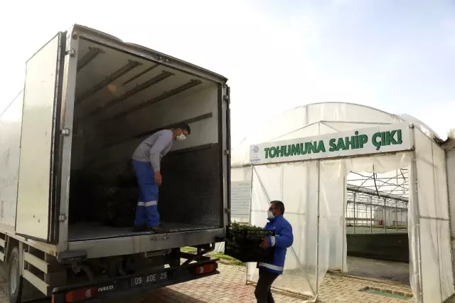 Ata tohumları vatandaşların bahçesiyle buluştu Ata tohumları vatandaşların bahçesiyle buluştu