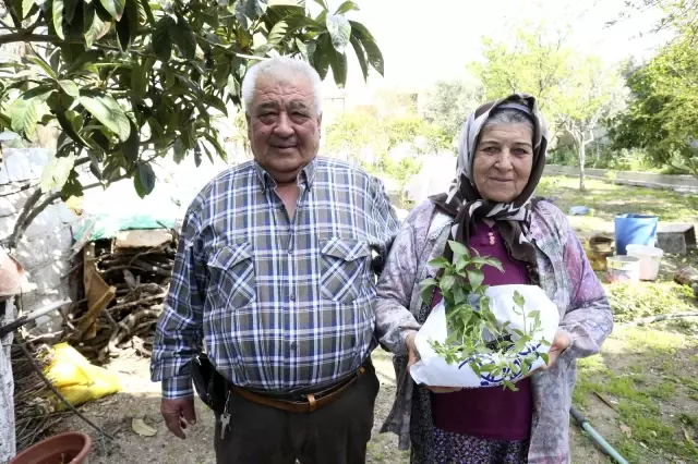 Ata tohumları vatandaşların bahçesiyle buluştu Ata tohumları vatandaşların bahçesiyle buluştu