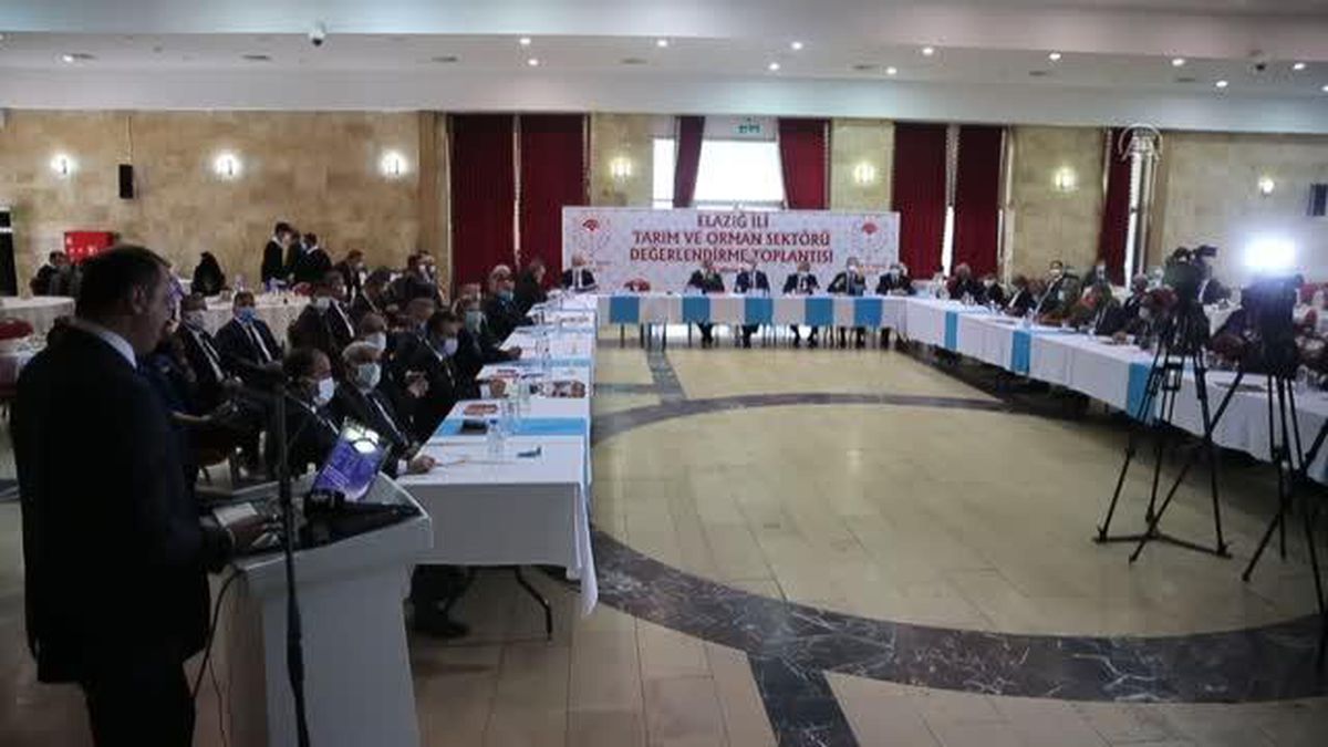 Bakan Yardımcısı Tunç, Tarım ve Orman Sektörü Değerlendirme Toplantısı'nda konuştu