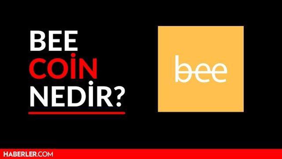 Bee Coin nedir, borsaya ne zaman girecek? Bee Coin kaç TL?
