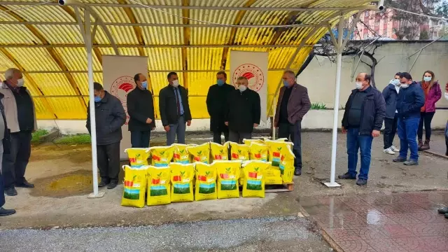 Bozüyük'te çiftçilere yonca tohumu dağıtıldı Bozüyük'te çiftçilere yonca tohumu dağıtıldı