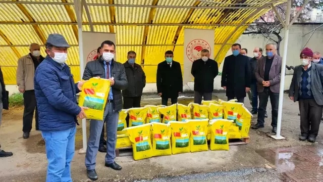 Bozüyük'te çiftçilere yonca tohumu dağıtıldı Bozüyük'te çiftçilere yonca tohumu dağıtıldı