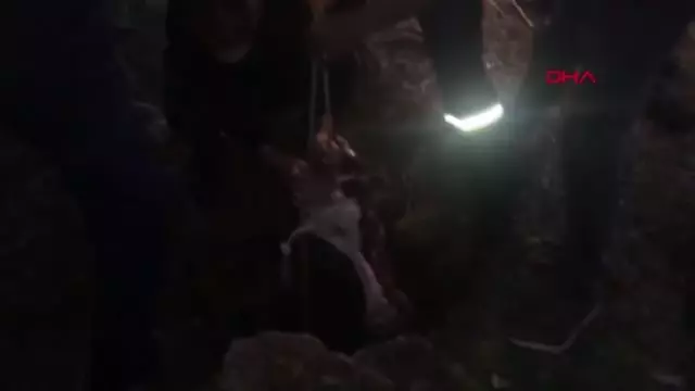 10 metrelik kuyuya düşen ineği itfaiye kurtardı 10 metrelik kuyuya düşen ineği itfaiye kurtardı