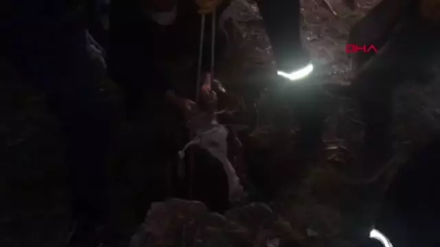 10 metrelik kuyuya düşen ineği itfaiye kurtardı 10 metrelik kuyuya düşen ineği itfaiye kurtardı