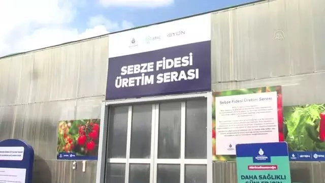 Büyükşehir Belediyesinin Fide Üretim Merkezi açıldı Büyükşehir Belediyesinin Fide Üretim Merkezi açıldı