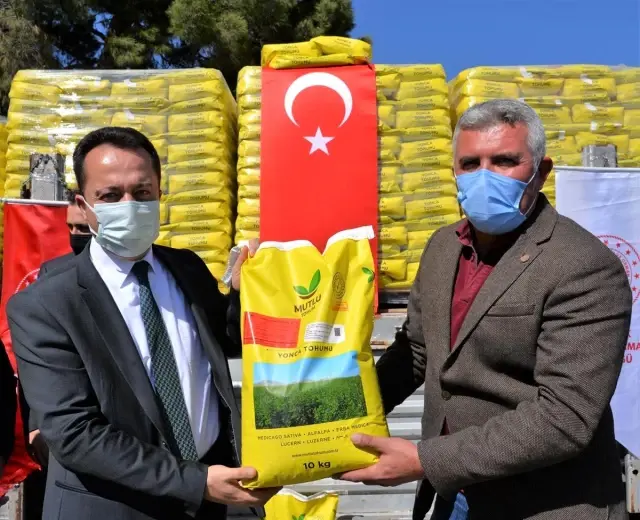 Bozüyük'te çiftçilere yonca tohumu dağıtıldı Bozüyük'te çiftçilere yonca tohumu dağıtıldı