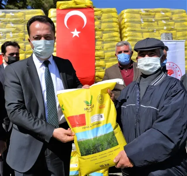 Bozüyük'te çiftçilere yonca tohumu dağıtıldı Bozüyük'te çiftçilere yonca tohumu dağıtıldı