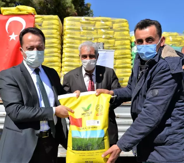 Bozüyük'te çiftçilere yonca tohumu dağıtıldı Bozüyük'te çiftçilere yonca tohumu dağıtıldı
