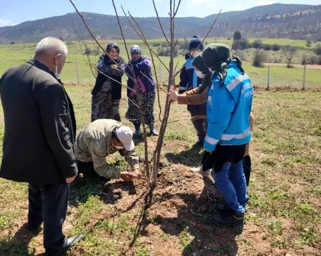 Hisarcık'ta çiftçilere budama eğitimi Hisarcık'ta çiftçilere budama eğitimi
