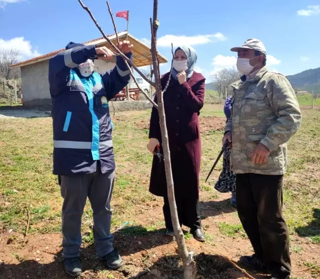 Hisarcık'ta çiftçilere budama eğitimi Hisarcık'ta çiftçilere budama eğitimi
