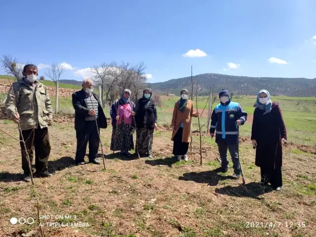 Hisarcık'ta çiftçilere budama eğitimi Hisarcık'ta çiftçilere budama eğitimi