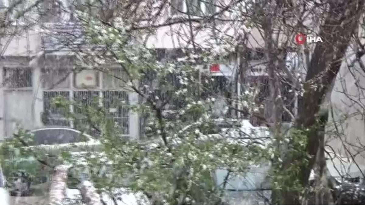 Son dakika haber... İlkbaharda yağan kar görsel şölen oluşturdu