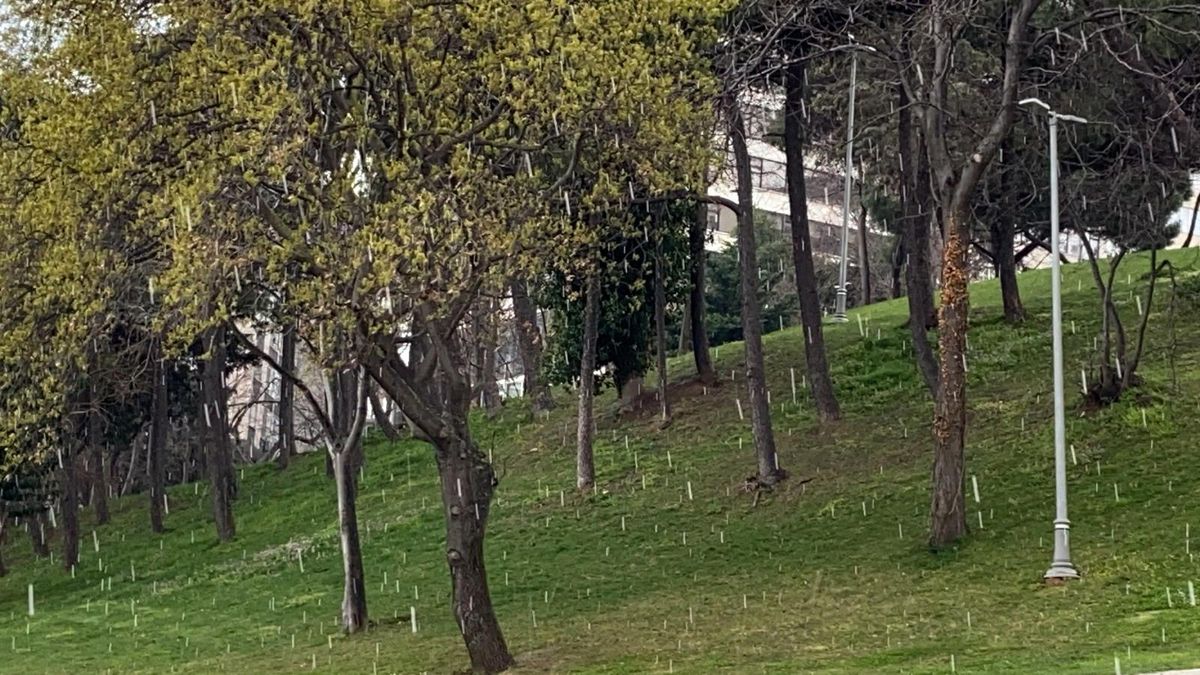 İstanbul'da dolu ve sulu kar sürprizi