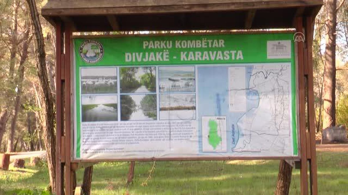 Kültür ve Turizm Bakanı Ersoy Arnavutluk'ta Karavasta Ulusal Parkı'nı ziyaret etti