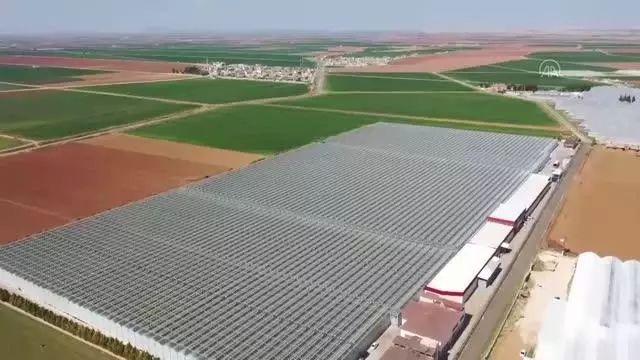 ŞANLIURFA -Harran Ovası'nda jeotermal seraların devamlılığı suyun kaynağına enjeksiyonuyla sağlanacak ŞANLIURFA -Harran Ovası'nda jeotermal seraların devamlılığı suyun kaynağına enjeksiyonuyla sağlanacak