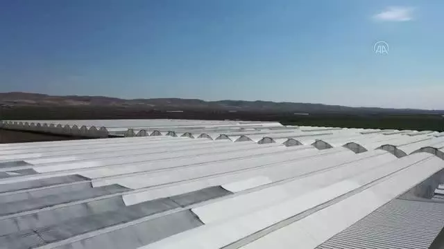 ŞANLIURFA -Harran Ovası'nda jeotermal seraların devamlılığı suyun kaynağına enjeksiyonuyla sağlanacak ŞANLIURFA -Harran Ovası'nda jeotermal seraların devamlılığı suyun kaynağına enjeksiyonuyla sağlanacak