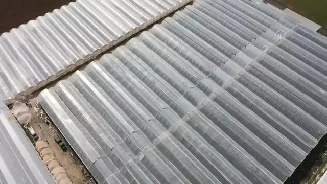 ŞANLIURFA -Harran Ovası'nda jeotermal seraların devamlılığı suyun kaynağına enjeksiyonuyla sağlanacak ŞANLIURFA -Harran Ovası'nda jeotermal seraların devamlılığı suyun kaynağına enjeksiyonuyla sağlanacak