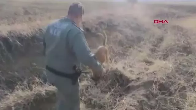 TOPRAĞA GÖMÜLÜ ÇANTALARDAKİ 61 KİLO EROİNİ, NARKOTİK KÖPEKLER BULDU TOPRAĞA GÖMÜLÜ ÇANTALARDAKİ 61 KİLO EROİNİ, NARKOTİK KÖPEKLER BULDU