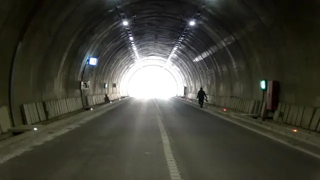 Yaralanan köpeğinin başından bir an olsun ayrılmadı