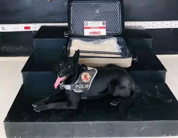 Yüksekova'da 31 kilo eroine 3 gözaltı