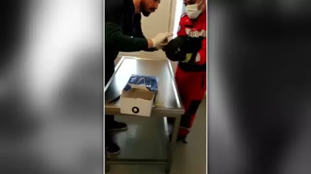 Son dakika haberi | Ağaçtaki yaralı kuş kurtarılıp tedavi altına alındı Son dakika haberi | Ağaçtaki yaralı kuş kurtarılıp tedavi altına alındı
