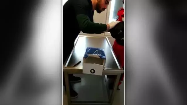 Son dakika haberi | Ağaçtaki yaralı kuş kurtarılıp tedavi altına alındı Son dakika haberi | Ağaçtaki yaralı kuş kurtarılıp tedavi altına alındı