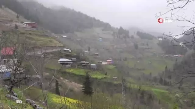 Ahşap caminin minaresi yıkılınca imece usulü ile direği hazırlandı