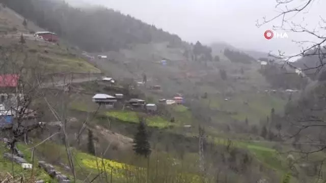 Ahşap caminin minaresi yıkılınca imece usulü ile direği hazırlandı