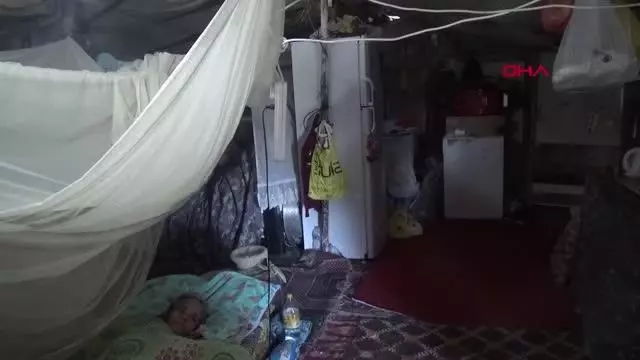ANTALYA Felçli kadın ağıldan bozma barakada yaşamaya çalışıyor