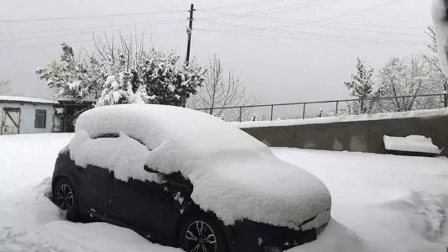 Baharın ortasında 40 santim kar yağdı, 61 mahalle yolu ulaşıma kapandı Baharın ortasında 40 santim kar yağdı, 61 mahalle yolu ulaşıma kapandı