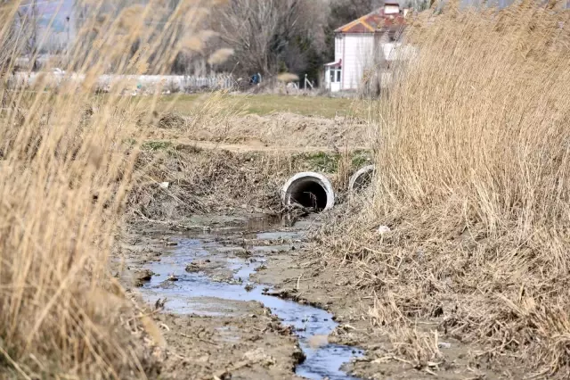 Başkentte vektörle mücadele başladı
