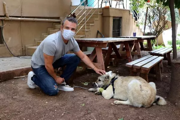 ADANA BOYNUNDAKİ İPLE KADERİNE TERK EDİLEN KÖPEK İÇİN SEFERBER OLDULAR ADANA BOYNUNDAKİ İPLE KADERİNE TERK EDİLEN KÖPEK İÇİN SEFERBER OLDULAR