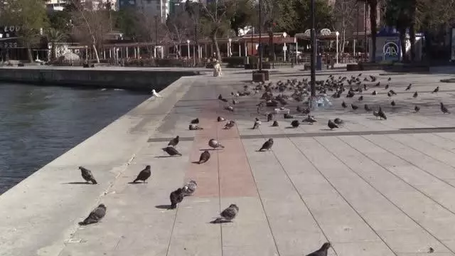 ÇANAKKALE - Sokağa çıkma kısıtlamasına riayet ediliyor ÇANAKKALE - Sokağa çıkma kısıtlamasına riayet ediliyor