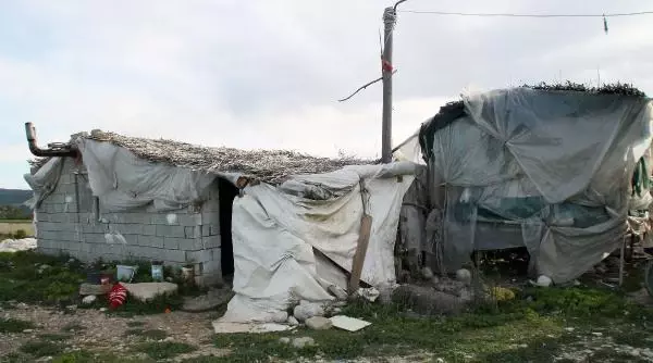 ANTALYA Felçli kadın ağıldan bozma barakada yaşamaya çalışıyor