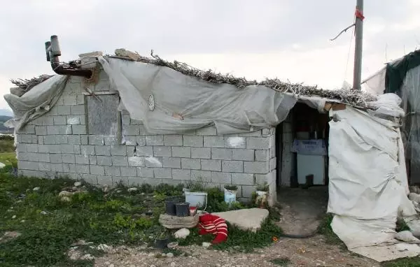 ANTALYA Felçli kadın ağıldan bozma barakada yaşamaya çalışıyor