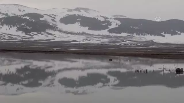 Karların erimeye başladığı Sarıkamış, canlanan doğasıyla cezbediyor Karların erimeye başladığı Sarıkamış, canlanan doğasıyla cezbediyor