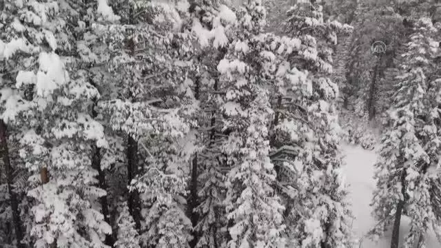 KASTAMONU - Ilgaz Dağı ve Yaralıgöz Geçidi'nde yoğun kar yağışı ulaşımı olumsuz etkiliyor