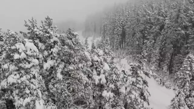 KASTAMONU - Ilgaz Dağı ve Yaralıgöz Geçidi'nde yoğun kar yağışı ulaşımı olumsuz etkiliyor