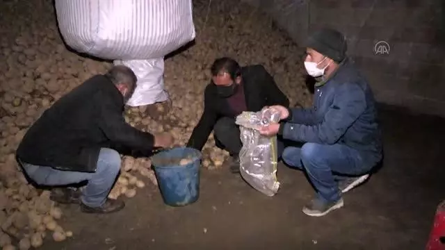 Son dakika haberi: NEVŞEHİR/NİĞDE - Cumhurbaşkanı Erdoğan'ın müjdesi patates üreticilerini sevindirdi Son dakika haberi: NEVŞEHİR/NİĞDE - Cumhurbaşkanı Erdoğan'ın müjdesi patates üreticilerini sevindirdi