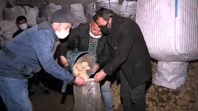Son dakika haberi: NEVŞEHİR/NİĞDE - Cumhurbaşkanı Erdoğan'ın müjdesi patates üreticilerini sevindirdi Son dakika haberi: NEVŞEHİR/NİĞDE - Cumhurbaşkanı Erdoğan'ın müjdesi patates üreticilerini sevindirdi