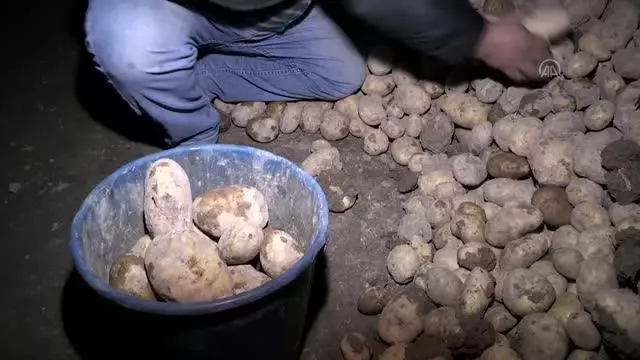 Son dakika haberi: NEVŞEHİR/NİĞDE - Cumhurbaşkanı Erdoğan'ın müjdesi patates üreticilerini sevindirdi Son dakika haberi: NEVŞEHİR/NİĞDE - Cumhurbaşkanı Erdoğan'ın müjdesi patates üreticilerini sevindirdi