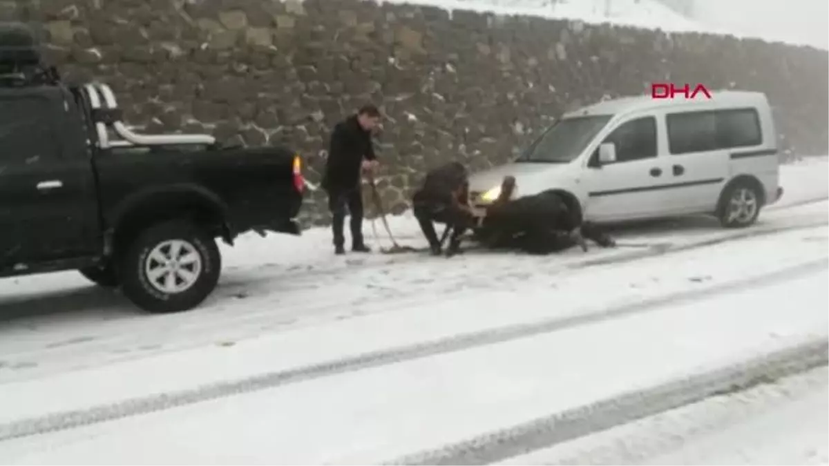 Samsun'da yüksek kesimlerinde kar yağışı etkili oluyor