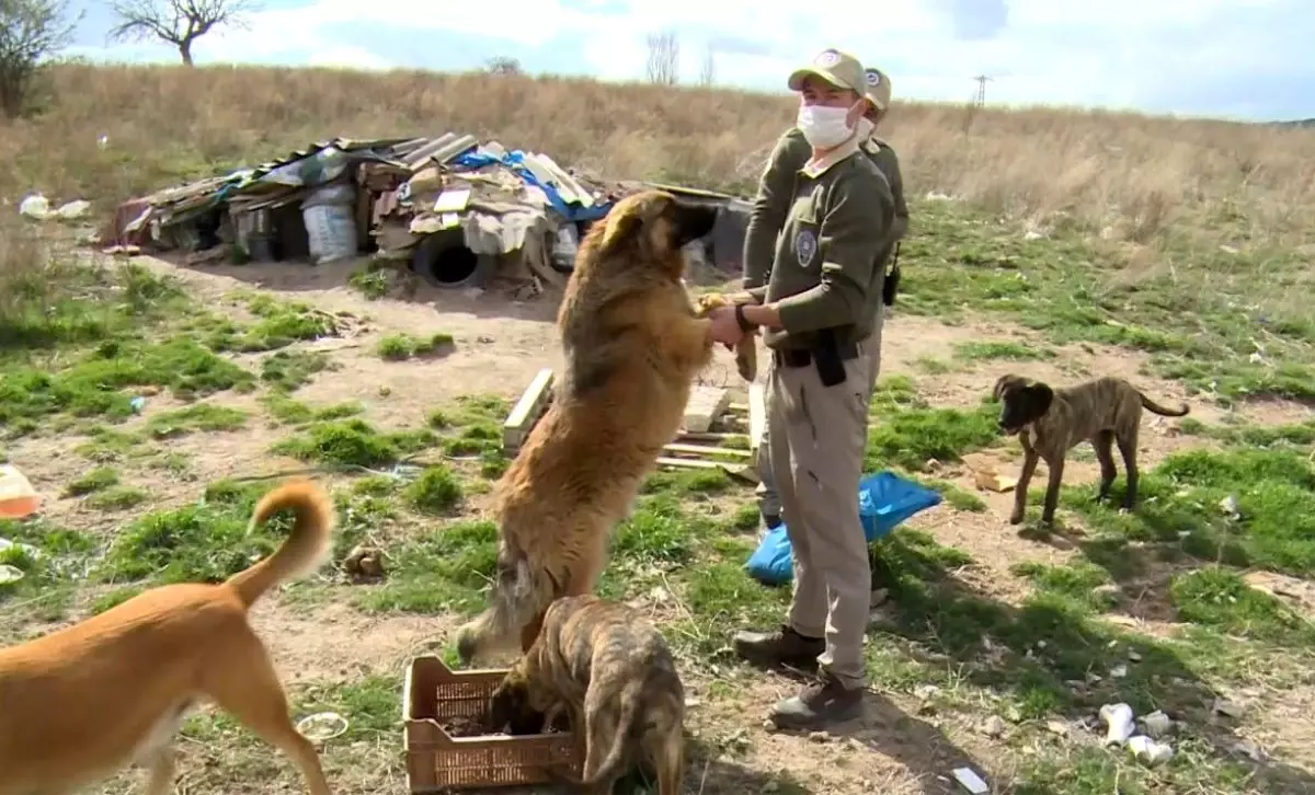 Sessizlerin sesi oldular