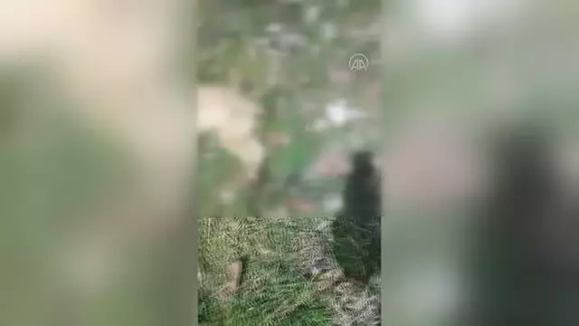 Sokak köpeği arka ayakları bağlı halde ölü bulundu