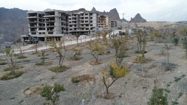 ARTVİN Sular altında kalacak Yusufeli'nin yeni yerleşim yeri, yeşillendiriliyor
